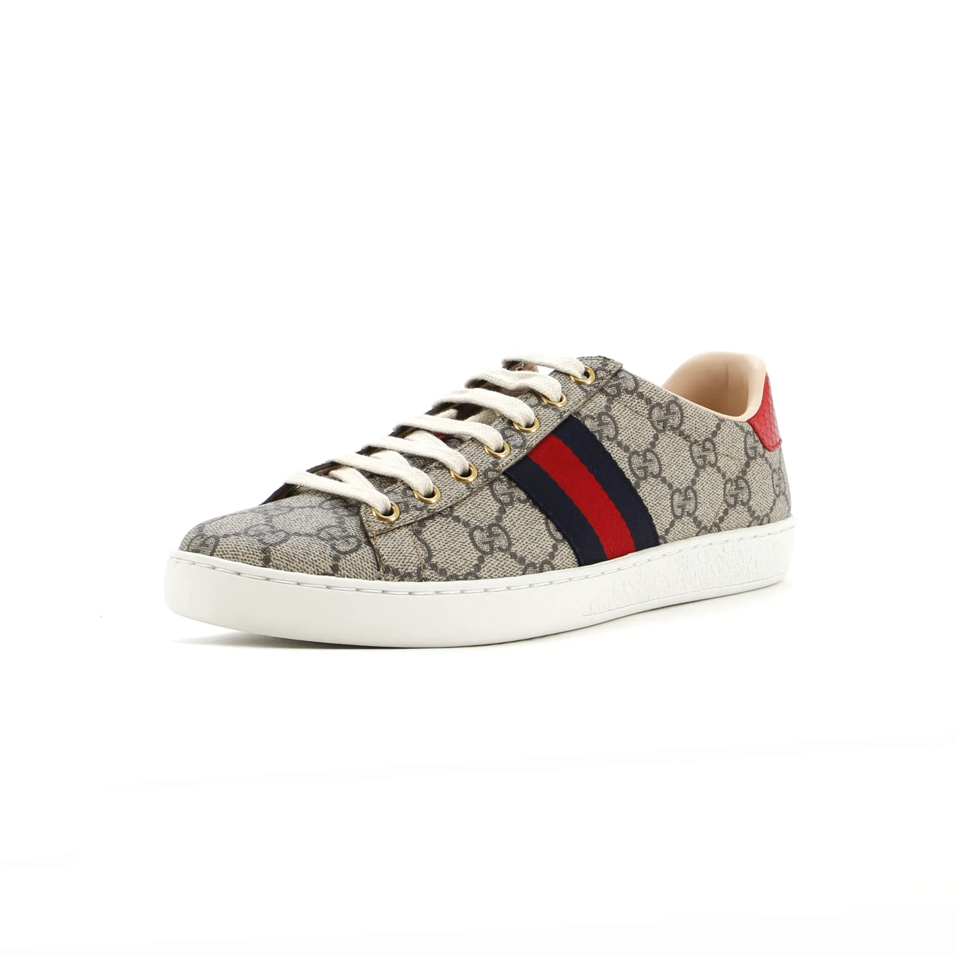 Ace Sneakers GG Coated Canvas